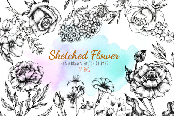 Explore Creativity with Floral Line Art Clipart