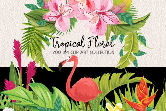 Tropical Floral Plants Frames Set: A Versatile Design Asset